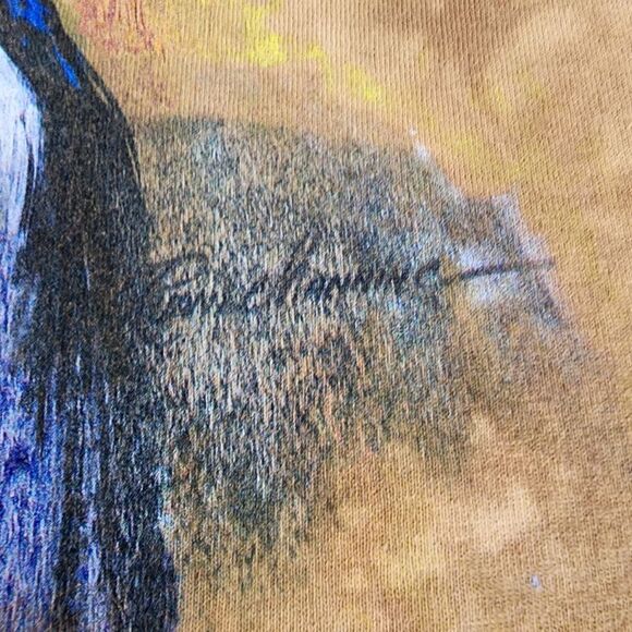 The Mountain Spirit Of Sioux Nation Tie Dyed Tshirt With Graphic Size 2X - Picture 3 of 5